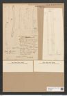 Desmogonium gujanense Ehr. (de-Toni-Nr.: Genus 71, Species 2703) Zeichnungen Sammlung Grunow Nr. 5541 (NHMW-BOT-W0373995)